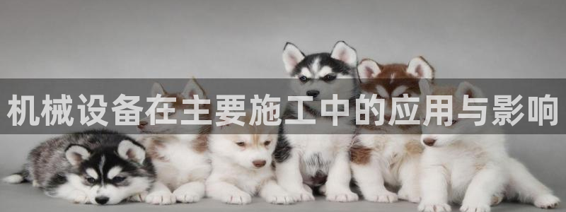 九游会官网页