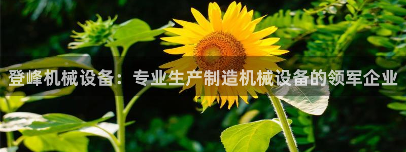 九游会官网页
