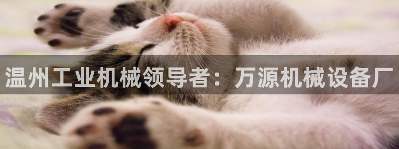 J9九游会老网站