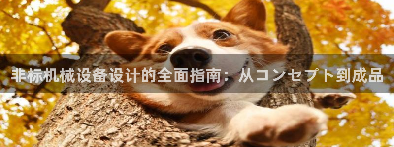 ag九游会app下载版官网正版