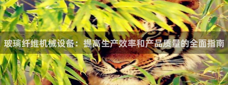 九游会在线官方网站下载吗