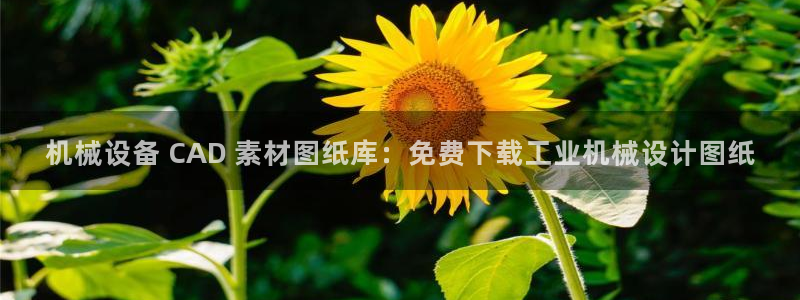 j9九游会真人游戏第一品牌捕鱼王