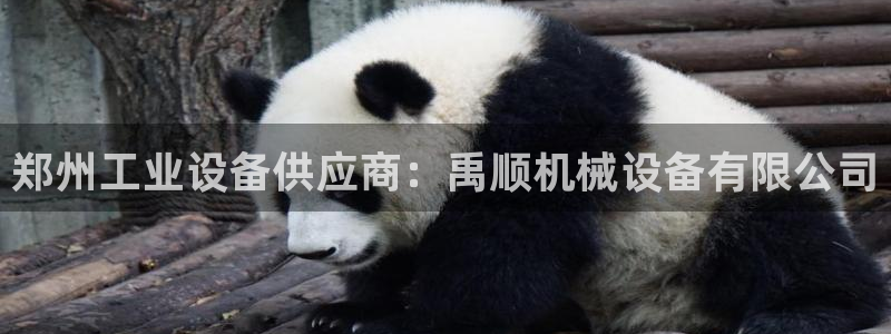 ag久游会