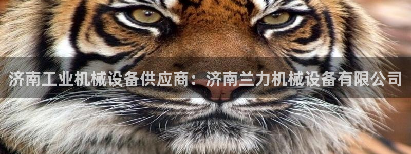 j9九游会合法吗
