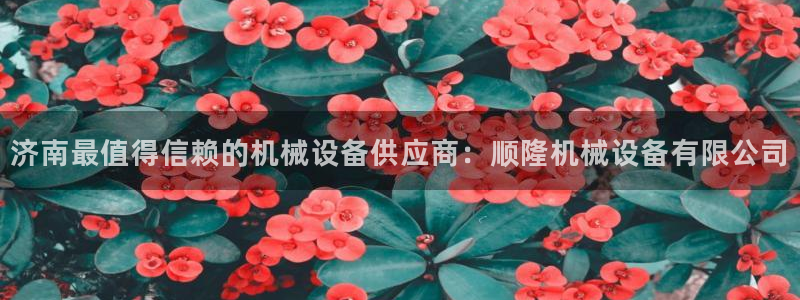 九游会国际站