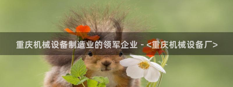 ag老队
