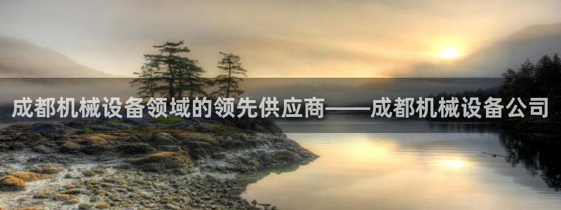 J9九游会国际站
