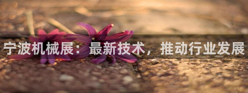 j9九游会老哥俱乐部客服