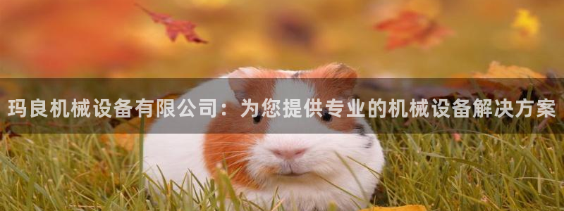 九游会集团新的选择