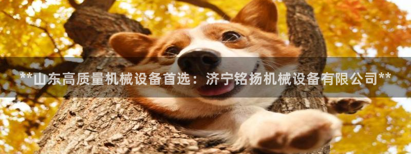 九游会官网真人认证吗安全吗