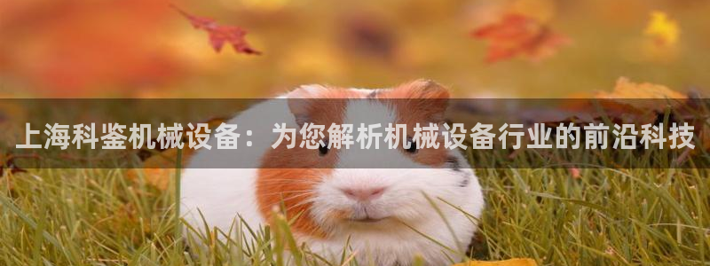 九游会国际厅有限责任公司