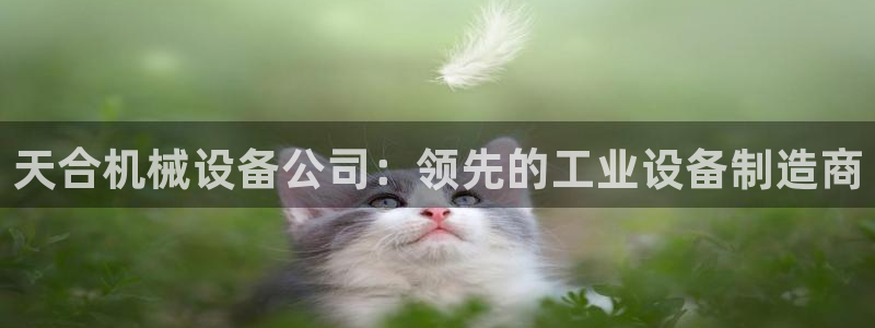 九游会是ag吗