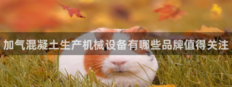 九游会是一个什么网站啊