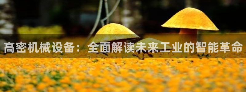九游会ag真人官网在哪