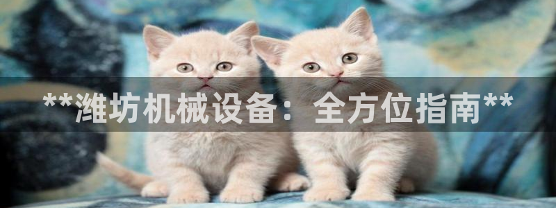九游会视讯