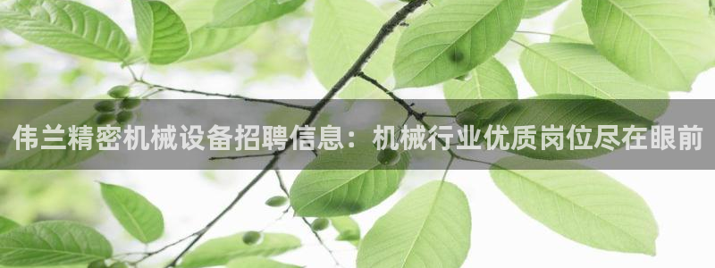 九游会网址是多少