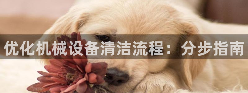 九游会官方下载