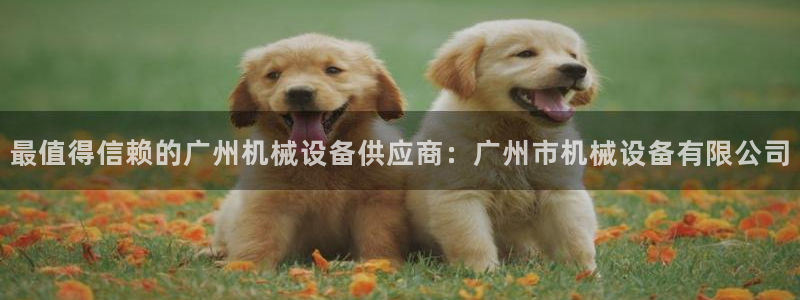 ag九游老哥俱乐部
