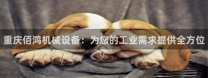 九游会客户端官网