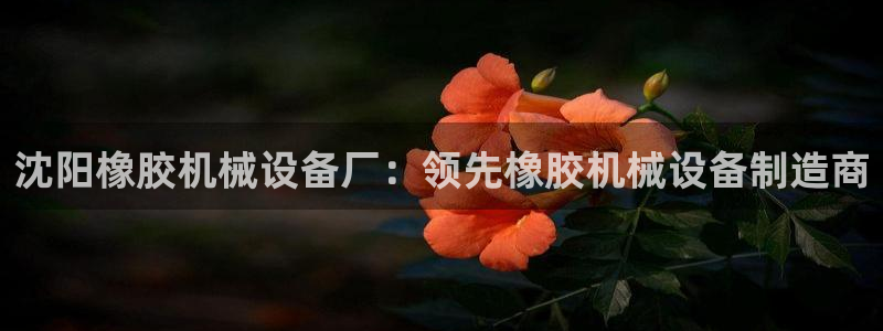 九游会ag官方平台