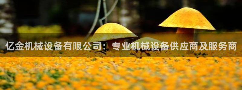 ag老队