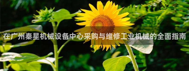 九游会线上平台吗